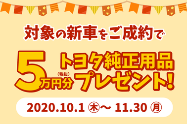 2010用品5万円CP (2)