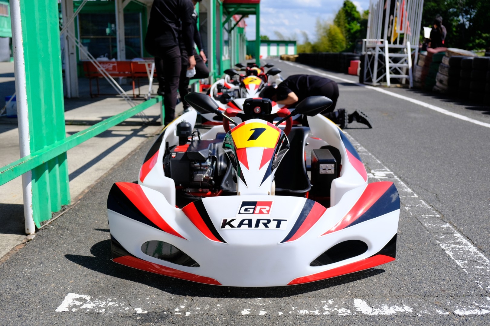2609grkart (10)